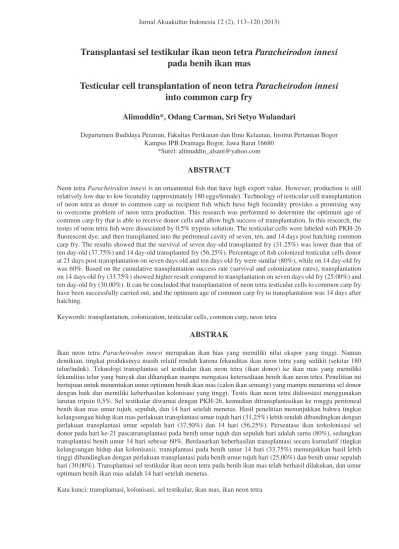 Transplantasi Sel Testikular Ikan Neon Tetra Paracheirodon Innesi Pada