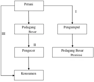 Analisis Tata Niaga Bawang Merah Di Kabupaten Samosir