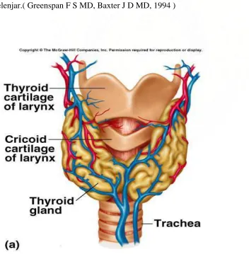 Hormon Tiroid