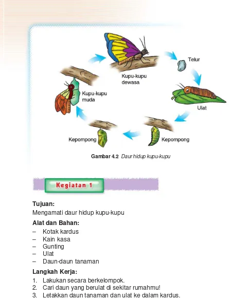 Ilmu Pengetahuan Alam Kelas 4 Heri Sulistyanto Eddy Wiyono 2008