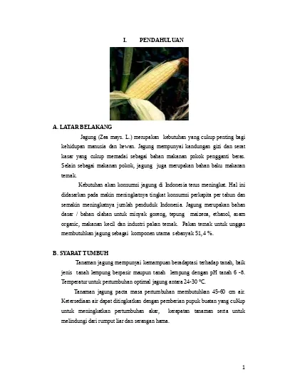 Top PDF Budidaya Tanaman Jagung - 123dok.com