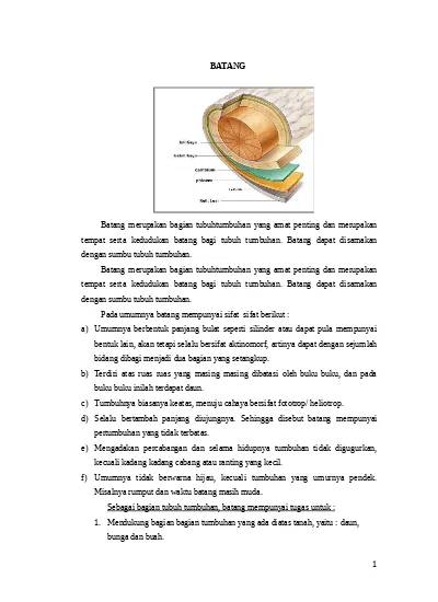 Top PDF Anatomi Dan Morfologi Tumbuhan - 123dok.com