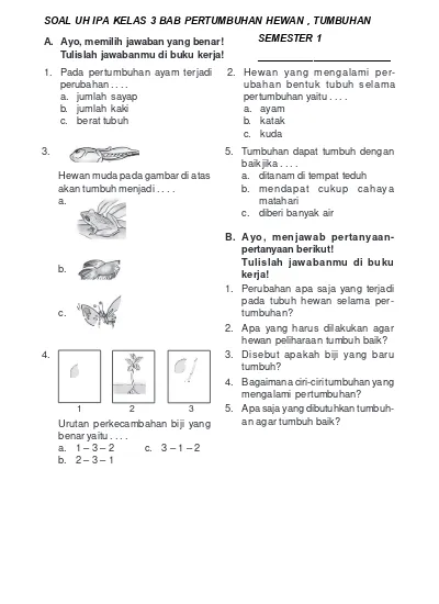 Soal Uh Ipa Kelas 3 Bab 2 Penggolongan Tumbuhan Semester 1