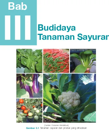 Bab 3 Budidaya Tanaman Sayuran