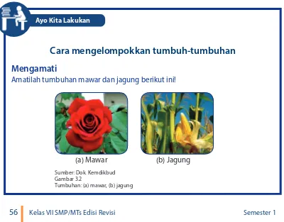 Sistem klasifikasi dapat dibuat sederhana berdasarkan manfaat. sebagai contoh tanaman bunga mawar, m