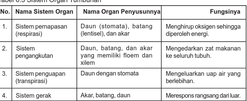 Sistem organ terbentuk dari kumpulan organ dengan fungsi tertentu di bawah ini kelompok organ pencer