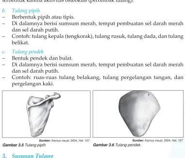 https://123dok.com/document/dzxoo7vz-kelas-sd-pendidikan-agama 