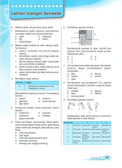 Top Pdf Buku Pelajaran Biologi Kelas Xii Sma Ma Lengkap Dan Latihan Soal Kurikulumsekolahku Bab Vi Mutasi 123dok Com