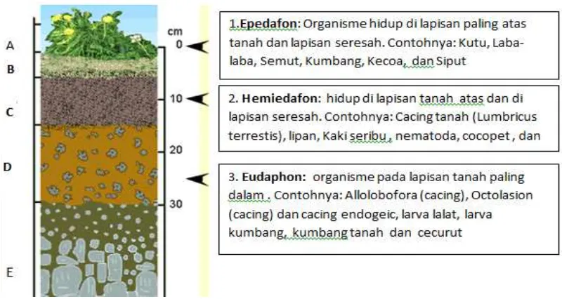 struktur lapisan tanah