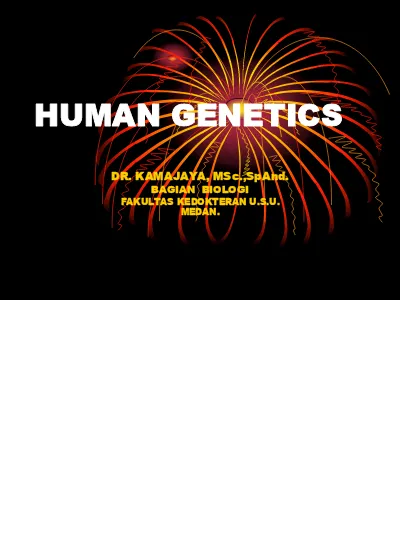 Bbc Slide Human Genetics