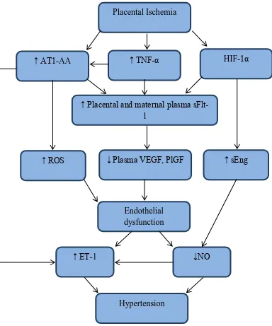 Penaruh Vaskular Endothelial Growth Faktor 121 Rekombinan Terhadap Ekspresi Heat Shock Protein 70 Pada Mencit Musmusculus Model Preeklampsia