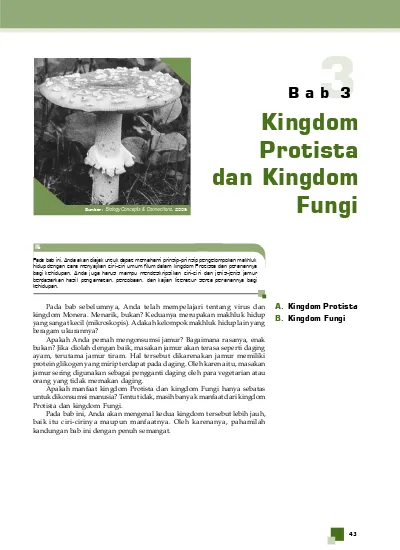 Di bawah ini yang termasuk kingdom fungi adalah