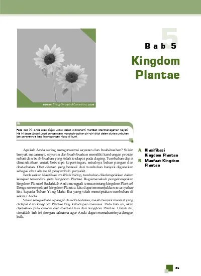 Fungi tidak dimasukkan dalam kingdom plantae karena