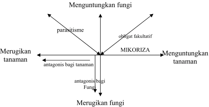 Formulasi Inokulum Fungi Mikoriza Arbuskula Fma Dan Vermikompos Dalam Meningkatkan Kualitas Semai Jati Muna Tectona Grandis Linn F