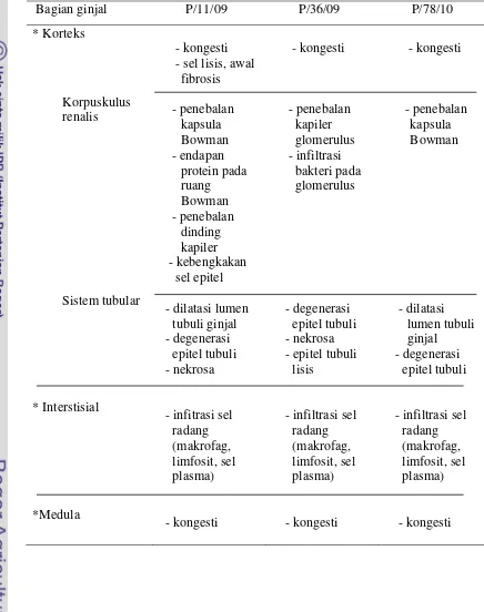 Kajian Morfopatologi Ginjal Kucing Yang Terpapar Feline Infectious 