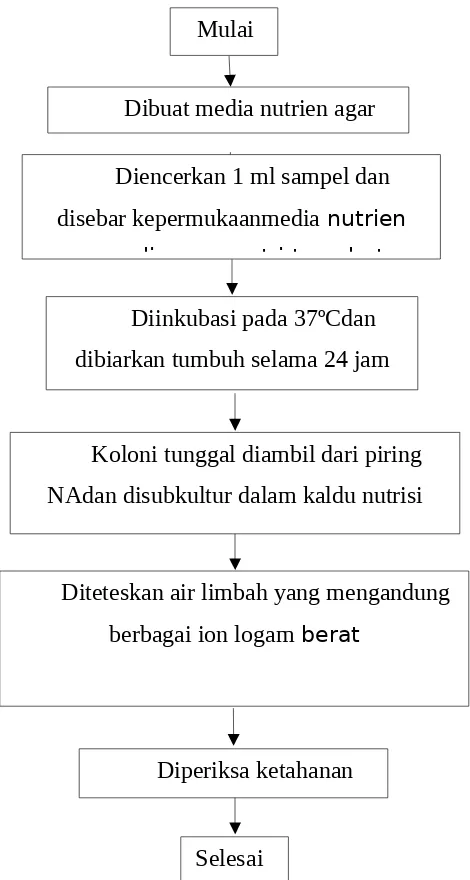 https://123dok.com/document/eqo0o25q-bab-ii-tinjauan-pustaka 