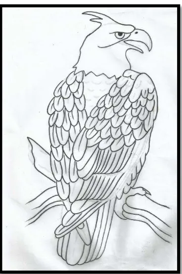 73 Gambar Sketsa Burung Elang Jawa HD