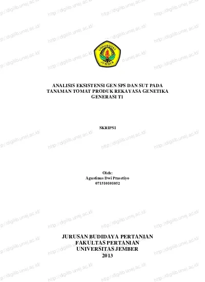 Analisis Eksistensi Gen Sps Dan Sut Pada Tanaman Tomat Produk Rekayasa Genetika Generasi T1