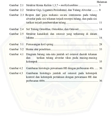 Efek Kafein Terhadap Jumlah Sel Osteosit Pada Daerah Tekanan Tulang Alveolar Gigi Tikus Yang Diinduksi Gaya Ortodonti