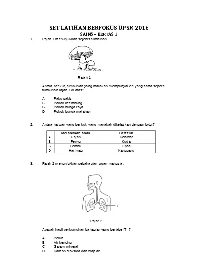 Kertas Kerja Hari Murid Cemerlang dan Konvokesyen Pra