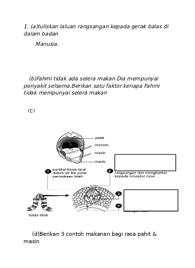 Ujian Mac Matematik Tingkatan 2