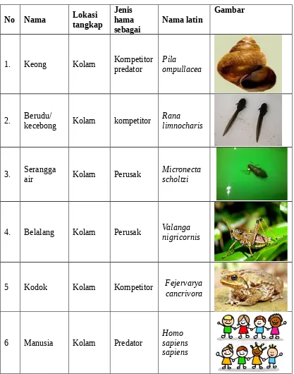 HAMA PADA IKAN DAN PENGENDALIANNYA