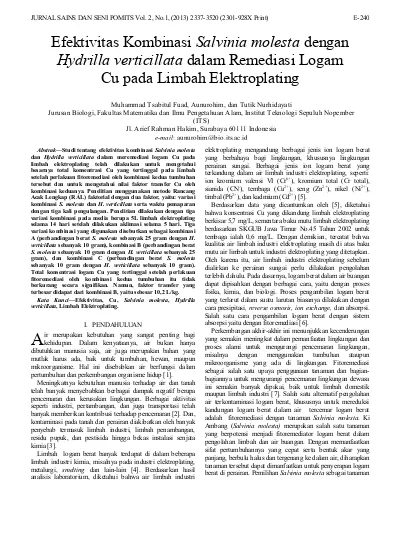 Efektivitas Kombinasi Salvinia molesta dengan Hydrilla verticillata dalam Remediasi Logam Cu pada Limbah Elektroplating