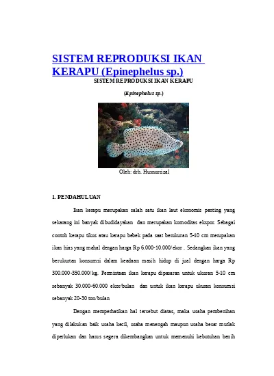 7000 Reproduksi Ikan Air Laut HD Terbaik