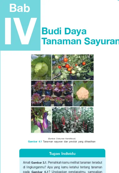 Bab 4 Budi Daya Tanaman Sayuran