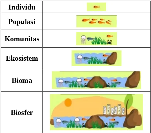 Contoh Ekosistem Beserta Individu Populasi Komunitas - 1 : Individu ...