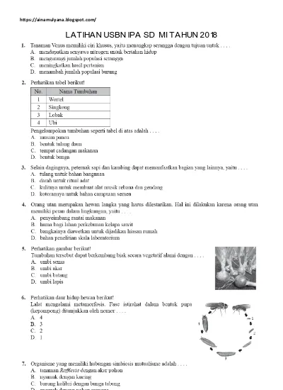 Buku Pdf Spm Plus Bahasa Indonesia Persiapan Usbn Sdmi 2018 Download Rangkuman Materi Dan Soal Latihan Usbn 2018 Buku Spm Plus Dan Detikdetik Us Sd Mi Dunia Pendidikan Bahasa Indonesia