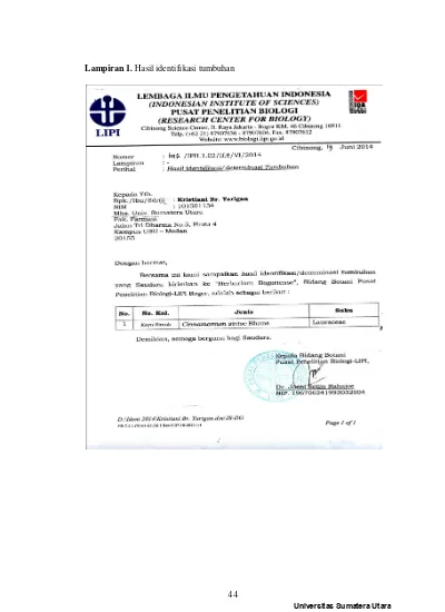 Isolasi Minyak Atsiri Dari Simplisia Kulit Kayu Sintok Cinnamomum Sintoc Blume Dengan Metode Destilasi Uap Dan