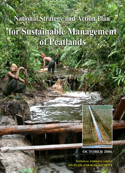 National Strategy and Action Plan for Sustainable Management of Peatlands