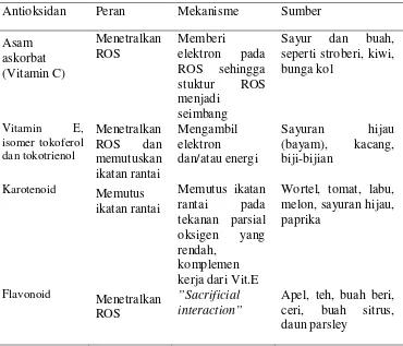 Bab 2 Tinjauan Pustaka 2 1 Radikal Bebas 2 1 1 Definisi Radikal Bebas Tingkat Pengetahuan Dan Sikap Pria Perokok Terhadap Bahan Pangan Yang Mengandung Antioksidan Pada Mahasiswa Fakultas Teknik Universitas Sumatera Utara