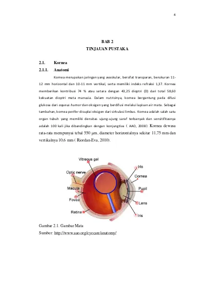 BAB 2 TINJAUAN PUSTAKA 2.1. Kornea 2.1.1. Anatomi - Karakteristik ...