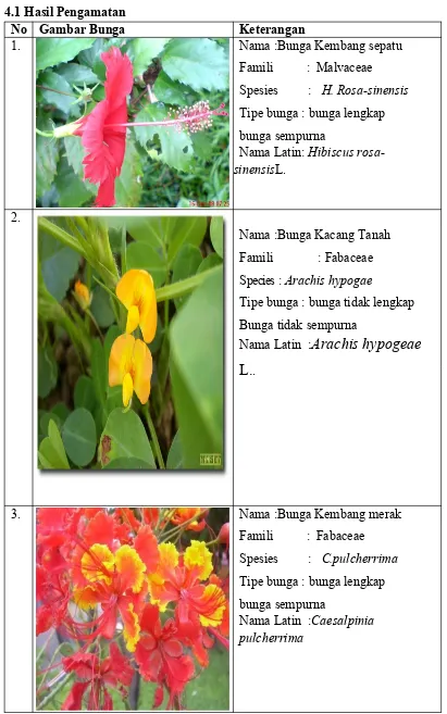 Laporan Praktikum Biologi Tentang Bunga