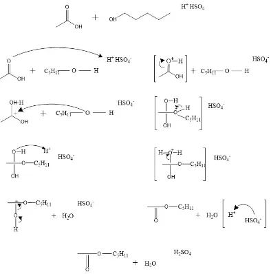Dibuat reaksi asetat dapat asam melalui Asam Alkanoat