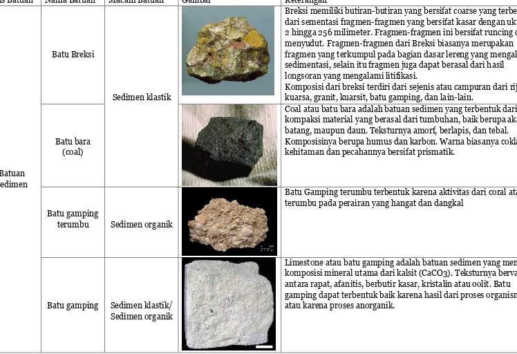 Contoh Batuan Sedimen Jenis Pengertian Dan Siklus Batuan Sedimen