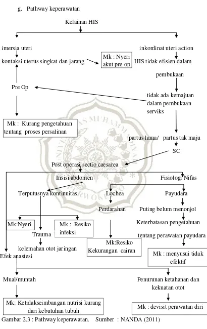 pathway persalinan normal