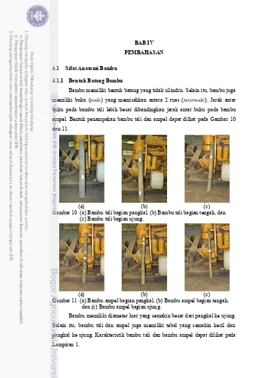 BAB IV PEMBAHASAN. (a) (b) (c) Gambar 10 (a) Bambu Tali Bagian Pangkal ...