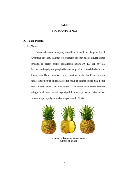 Bab Ii Tinjauan Pustaka Terutama Di Daerah Sekitar Khatulistiwa Antara 30 O Lu Dan 30 O Ls Makanan Seperti Jelly Selai Dan Sirup Samadi 2014