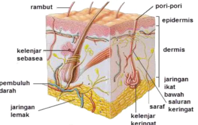 https://123dok.com/document/qoold85q-proposal-usaha-ayam-jadi 