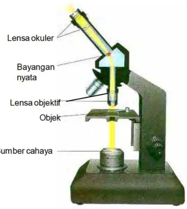 gambar-bagian-bagian-mikroskop 