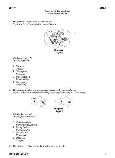 Sulit 4551 1 Answers All The Questions Jawab Semua Soalan Diagram 1 Rajah 1