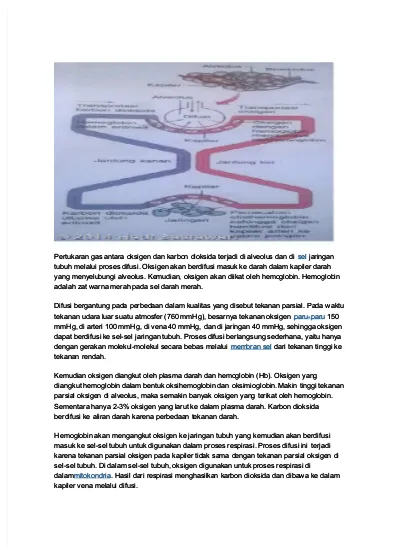 Transport O2 And Co2