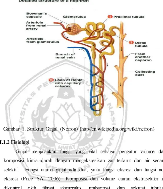 Gangguan pada ginjal karena kegagalan nefron dalam melakukan proses reabsorpsi disebut