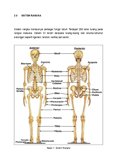 Sistem Rangka