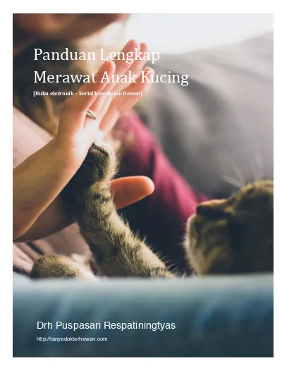 Panduan Lengkap Merawat Anak Kucing Drh Puspasari