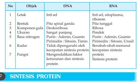 Dalam sintesis protein, yang merupakan kode genetik sebagai dasar penyusunan asam amino menjadi protein atau polipeptida rangkaian basa nitrogen terdapat dalam