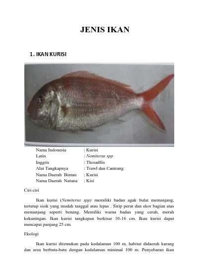 Jenis Ikan 1 Ikan Kurisi Nemiterus Spp Nama Daerah Natuna Ciri Ciri